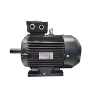Moteur asynchrone triphasé haute tension Wolong CNE Y3 400KW 3000V 50/60Hz, efficacité IE2, classe de protection IP55 F/H