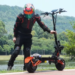 卸売倉庫5000w48v35ahオフロードチャリオットワイドタイヤ12インチ最大負荷150kgパワーフル電動スクーター