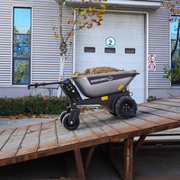 Rhinoceros Elektrischer Radlader 0,2CBM Mini-Lader 800W Motorisierte Pumpe Gartenwagen Hof- und Bau-Nutzfahrzeug