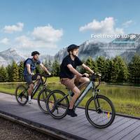 OEM ODM Batterie au lithium intégrée 36V 15Ah Alimentation électrique Vélo électrique adulte à moteur de moyeu urbain et de montagne 250W Vitesse 25 km/h