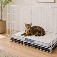 Coussin de lit pour chat d'intérieur avec dessus rembourré en silicone rafraîchissant, bordure bleue et couche visible pour des espaces de repos calmes pour chats