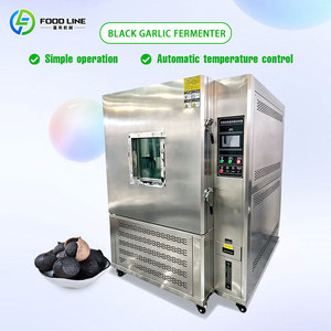 Máquina de Fermentación de Ajo Negro con Pantalla Táctil Completa y Operación en Varios Idiomas - Product Image 3