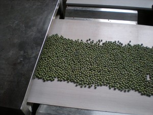<span class=keywords><strong>Machine</strong></span> de séchage et de torréfaction automatique à commande PLC pour les noix de sésame, les cacahuètes, les amandes, la farine en poudre, les tranches, pour les usines de fabrication - Product Image 2