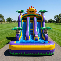Toboggans aquatiques gonflables double piste de 28 pieds Tropical Sunshine pour fêtes et installations de divertissement aquatique - En solde