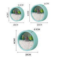 DD2459 maison salon décoration murale créative tenture murale ronde radis vert plante hydroponique Pot de fleur en plastique