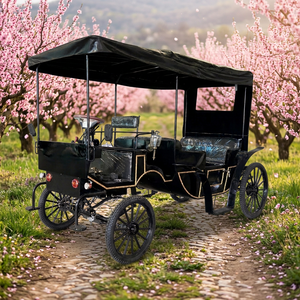Caleches Turísticas 2026, Carretas Europeas Tiradas por Caballos, Carruajes para Bodas, Carruaje Eléctrico OEM - Product Image 1