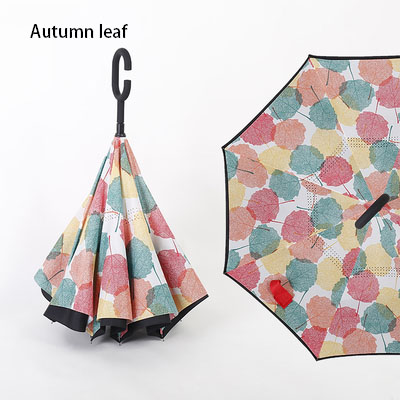 autumn leaf