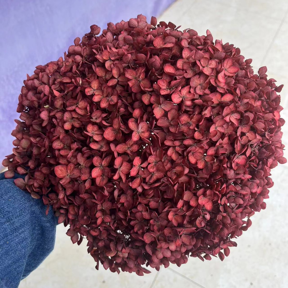 Rojo vino