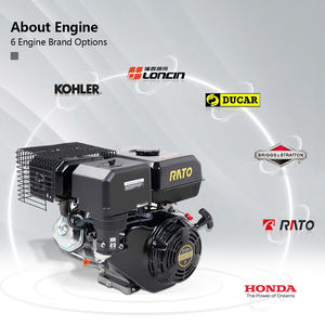 <span class=keywords><strong>Broyeur</strong></span> à bois K-Maxpower, moteur Rato 7HP 212cc, <span class=keywords><strong>broyeur</strong></span> avec ouverture de 4 pouces, modèle avec attelage tout-terrain, <span class=keywords><strong>broyeur</strong></span> à bois à tambour - Product Image 6