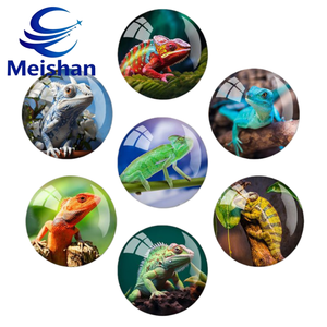 Aimants <span class=keywords><strong>de</strong></span> réfrigérateur <span class=keywords><strong>en</strong></span> verre personnalisés <span class=keywords><strong>en</strong></span> gros Meishan : Aimants <span class=keywords><strong>de</strong></span> réfrigérateur ronds <span class=keywords><strong>de</strong></span> <span class=keywords><strong>dessin</strong></span> animé d'animaux européens et américains, caméléon - Product Image 2