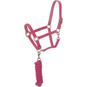 Riel de cuero duradero occidental ecuestre al por mayor equipo de carreras de caballos impermeable cuerda Halter y Headstall Halter - Product Image 3