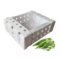 Boîte d'emballage en carton creux PP robuste et durable du fabricant chinois Boîtes logistiques pliantes réutilisables pour fruits et légumes