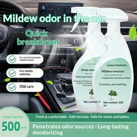 Spray désodorisant anti-moisissures pour l'intérieur de la voiture, élimine les odeurs de moisissure et les dommages causés par les inondations, solution ultime pour l'élimination des moisissures