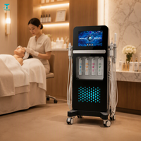 Appareil de beauté multifonctionnel pour le visage, élimination des points noirs, 17 en 1, machine Hydra, soin de la peau, hydrodermabrasion, appareil facial