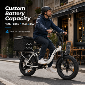 Bicicleta Eléctrica de Larga Duración con Llantas Anchas, 48V 50Ah, Motor sin Escobillas de 250W/750W, 20 Pulgadas, Venta al Por Mayor - Product Image 1