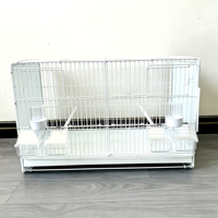 Cage d'élevage pliable en métal avec plateau en plastique pour oiseaux : Jade Bird, Canaris, Oiseaux d'or, Hirondelles grises, Grands oiseaux jaunes dorés