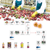 Automatische Passiesap Maken Machine Vruchtensap Productielijn Verwerkingsfabriek