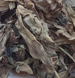 Feuilles de langue de dragon séchées naturelles Long <span class=keywords><strong>Li</strong></span> <span class=keywords><strong>Ye</strong></span> pour le thé traditionnel - Product Image 5