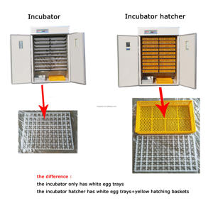 자동 3520 계란 부화기 아프리카 수출 - Product Image 4