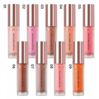 Vente en gros de notre propre marque de gloss à lèvres brillant, multicolores, végétarien, soin des lèvres, hydratant, repulpant et longue durée, rouge à lèvres liquide