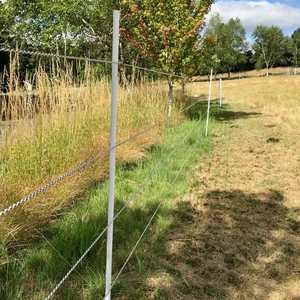 เสารั้วไฟฟ้าทำจากไฟเบอร์กลาสเพื่อความปลอดภัยสำหรับฟาร์ม - Product Image 4