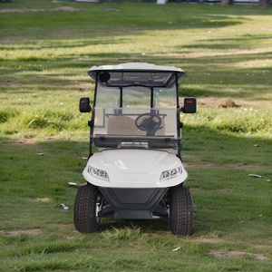 Carrello da Golf Elettrico a 2 Posti con Ricarica Rapida e Intelligente, Certificato CE, Batteria al Litio, Lunga Autonomia, Bassa Manutenzione - Product Image 1