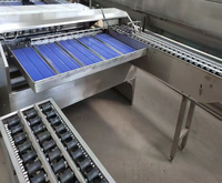 Eieren sorteermachine / Eieren was- en sorteermachine / Eieren sorteermachine