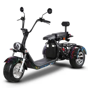 2024 Neues Design Passa ger Elektromotor Dreirad Trike mit Lebensmittel karten korb