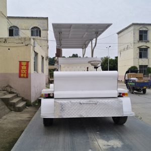 Cercueil électrique spécial pour transport funéraire / Cercueil électrique personnalisé à prix réduit / Carrosse funéraire à vendre - Product Image 3