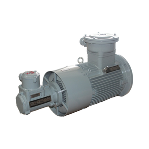 Excn ybbp loạt flameproof biến tần số tốc độ điều chỉnh ba pha động cơ không đồng bộ 0.12kw-315kw 460/480V 3-50Hz - Product Image 4