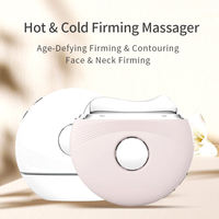 Lampe de beauté V, alimentée par USB, portable, électrique, fonction chaud/froid, raffermissant la peau, micro-courant, réduction des rides, lifting, massage du visage, en plastique