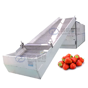 Máquina secadora de fresas de banda continua de malla, de bajo consumo energético, para procesamiento de frutas, OEM. - Product Image 1