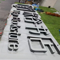 Lettres en résine époxy LED lumineuses et étanches, personnalisables en 3D, haute luminosité, durabilité, couleurs variées pour entreprises et parcs