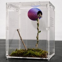 Cueva Magnética para Arañas con Cuerda para Escalar, Decoración para Hábitat de Insectos, Paisajismo, Nido Escondido para Arañas Saltadoras Impreso en 3D