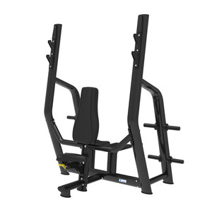 <span class=keywords><strong>Banc</strong></span> plat de musculation commercial en vente chaude avec cadre en acier inoxydable, machine d'exercice durable - TZ FITNESS TZ-X6023 - Product Image 6