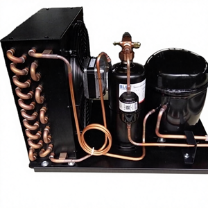 Unités de condensation de refroidisseur liquide à économie d'énergie DC 110V R-404A, pièces détachées pour congélateur, large compatibilité, nouveau, fabriqué en Chine - Product Image 1