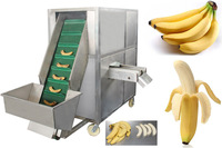 Hoogproductieve commerciële machine voor het schillen van volwassen fruit, speciaal ontworpen voor de verwerking van groene bananen