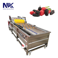 De efficiënte reinigingsmachine voor bramen en frambozen kan worden gebruikt in combinatie met productielijnen.