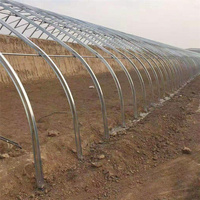 Serre Agricole Multichapelle à Film Galvanisé, Direct Usine
