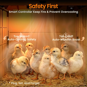 Poultry Winter <b>Heater</b> Smart Auto Temperature Control Heat Circulating Fan Brooder Coop UL Compliant Safe Chick Device - Product Image 4