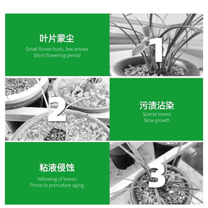 น้ำยาปลูกพืชสูตรน้ำ 50 มล. สำหรับพืชสีเขียวและดอกไม้ - Product Image 3