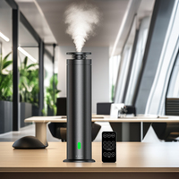 Diffuseur d'arômes de luxe personnalisé, nouvelle arrivée, machine à vaporiser des huiles essentielles pures, fabrication en usine