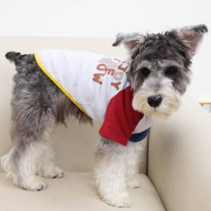 Nouveaux vêtements pour animaux de compagnie printemps été <span class=keywords><strong>petit</strong></span> monstre gilet T-Shirt vêtements respirants Teddy <span class=keywords><strong>Bichon</strong></span> intérieur Anti-perte <span class=keywords><strong>petit</strong></span> <span class=keywords><strong>chien</strong></span> moyen - Product Image 4