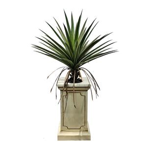 Plastico Realista Bonsai <span class=keywords><strong>Cana</strong></span> Agave Arvores Intérieur Maison Bureau Décoration Artificielle Yucca Planta Em Vaso - Product Image 3