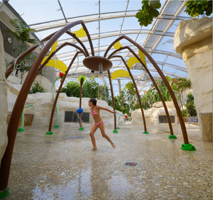 Équipement de jeux aquatiques sur le thème de la forêt en acier inoxydable pour les enfants, parcs aquatiques, campings, stations balnéaires, piscines familiales - Product Image 1