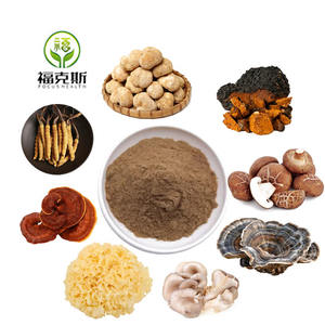 8 in 1 bubuk jamur surai singa, Reishi, Cordyceps, Chaga, Shiitake, Maitake, ekor Turki, bubuk ekstrak Jamur organik - Product Image 4