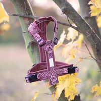 Harnais pour chien personnalisé OEM avec laisse et collier assortis, anti-traction, pour chiens de petite, moyenne et grande taille