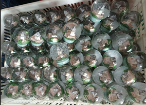 Boule à eau d'aimant de réfrigérateur de souvenir touristique en résine peinte à la main bon marché personnalisée boule à neige d'<span class=keywords><strong>Italie</strong></span> de Rome, de Pise et de Venise - Product Image 5