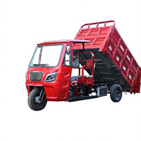 Tricycle électrique à trois roues et à cinq roues, moto ouverte, camion à benne basculante pour usage agricole et domestique, camion à essence, camion de transport de marchandises, vente chaude transfrontalière
