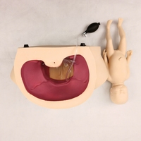 Modelo de Demostración de Parto Difícil, Simulador Médico de Parto, Maniquí de Entrenamiento, Simulador de Parto Infantil